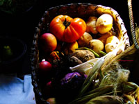 harvest basket of fruits and vegetables