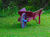 old wheelbarrow in yard