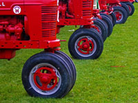 row of vintage farm tractors
