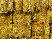 stacks of hay