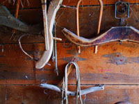 antique horse yokes on wall