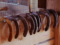 row of rusted horseshoes