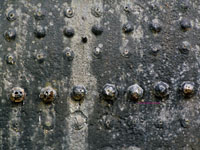 rusted rivets on a 1913 locomotive
