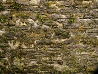 wet Medieval stone wall